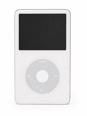Apple 5th Gen Video iPod 30gb  (used)